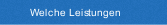 Welche Leistungen