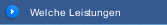 Welche Leistungen